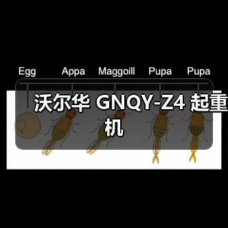 沃尔华 GNQY-Z4 起重机（图2）