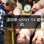 沃尔华 GNQY-C6 起重机(图2) 沃尔华 GNQY-C6 起重机(图2)