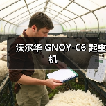 沃尔华 GNQY-C6 起重机(图3) 沃尔华 GNQY-C6 起重机(图3)