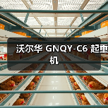 沃尔华 GNQY-C6 起重机(图4) 沃尔华 GNQY-C6 起重机(图4)