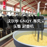 沃尔华 GNQY-东风尖头型 起重机