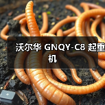沃尔华 GNQY-C8 起重机（图2）