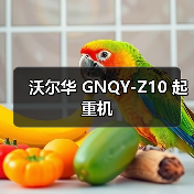 沃尔华 GNQY-Z10 起重机（图3）