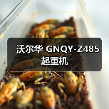沃尔华 GNQY-Z485 起重机（图3）