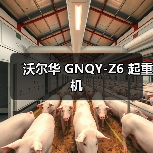 沃尔华 GNQY-Z6 起重机（图2）