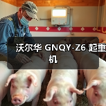 沃尔华 GNQY-Z6 起重机（图4）