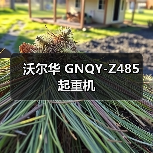沃尔华 GNQY-Z485 起重机（图4）