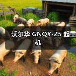 沃尔华 GNQY-Z5 起重机(图2) 沃尔华 GNQY-Z5 起重机(图2)