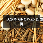沃尔华 GNQY-Z5 起重机(图3) 沃尔华 GNQY-Z5 起重机(图3)