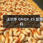 沃尔华 GNQY-Z5 起重机(图4) 沃尔华 GNQY-Z5 起重机(图4)