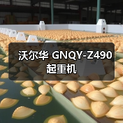 沃尔华 GNQY-Z490 起重机(图4) 沃尔华 GNQY-Z490 起重机(图4)