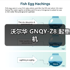 沃尔华 GNQY-Z8 起重机