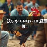 沃尔华 GNQY-Z8 起重机(图4) 沃尔华 GNQY-Z8 起重机(图4)