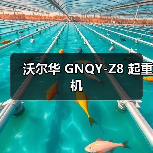 沃尔华 GNQY-Z8 起重机(图3) 沃尔华 GNQY-Z8 起重机(图3)
