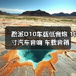 路派D10车载低音炮 10寸汽车音响 车载音箱 厂家一件代发（图3）