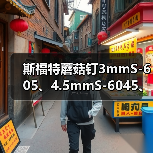 斯福特蘑菇钉3mmS-605、4.5mmS-6045、6mmS-606轮胎整体塞钻头（图2）