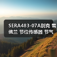SERA483-07A别克 雪佛兰 节位传感器 节气门位置传感器SERA48307（图4）