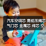汽车空调芯 高低压阀芯 气门芯 金属芯 阀芯 空调充注阀（图3）