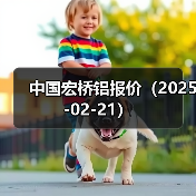 中国宏桥铝报价（2025-02-21）（图4）