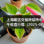上海期货交易所铝市中午收盘行情（2025-02-21 11:33）（图3）