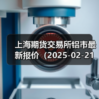 上海期货交易所铝市最新报价（2025-02-21 10:15）（图2）