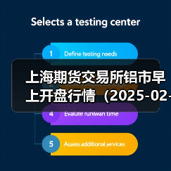 上海期货交易所铝市早上开盘行情（2025-02-21 09:03）（图2）