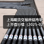 上海期货交易所铝市早上开盘行情(2025-02-21 09:03)(图4) 上海期货交易所铝市早上开盘行情(2025-02-21 09:03)(图4)