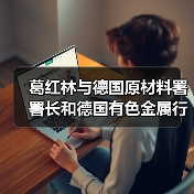 葛红林与德国原材料署署长和德国有色金属行业协会会长座谈交流（图4）