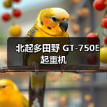 北起多田野 GT-750E 起重机（图2）