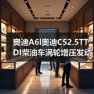 奥迪A6l奥迪C52.5TTDI柴油车涡轮增压发动机(图3) 奥迪A6l奥迪C52.5TTDI柴油车涡轮增压发动机(图3)