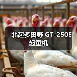北起多田野 GT-250E 起重机（图4）