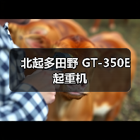 高效重型起重装备关键参数解析