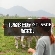 北起多田野 GT-550E 起重机（图3）