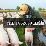 高性能压路机参数解析：26000kg工作质量与28/33Hz振动频率优势