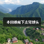 雅阁下支臂球头更换与维护指南