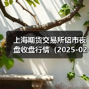 上海期货交易所铝市夜盘收盘行情（2025-02-20 01:03）（图2）