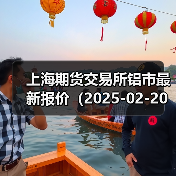 上海期货交易所铝市最新报价（2025-02-20 14:00）（图4）