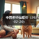 中国宏桥铝报价（2025-02-20）（图1）