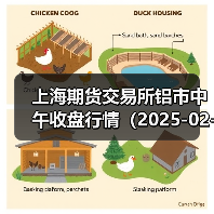 上海期货交易所铝市中午收盘行情（2025-02-20 11:33）（图3）