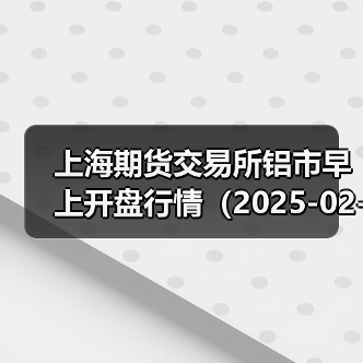 上海期货交易所铝市早上开盘行情（2025-02-20 09:03）（图4）