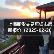 上海期货交易所铝市最新报价（2025-02-20 10:15）（图1）