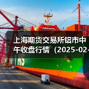 上海期货交易所铝市中午收盘行情（2025-02-20 11:33）（图4）