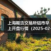上海期货交易所铝市早上开盘行情（2025-02-20 09:03）（图3）