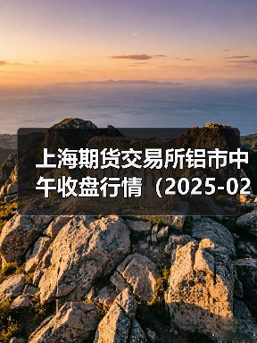 上海期货交易所铝市中午收盘行情（2025-02-20 11:33）（图1）