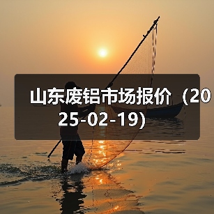 山东废铝市场报价（2025-02-19）（图3）