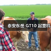 泰安东岳 GT10 起重机(图2) 泰安东岳 GT10 起重机(图2)