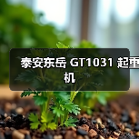 泰安东岳 GT1031 起重机(图3) 泰安东岳 GT1031 起重机(图3)