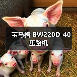 宝马格 BW220D-40 压路机（图2）