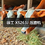 高性能压路机优势解析：动力强劲 操控便捷 压实高效