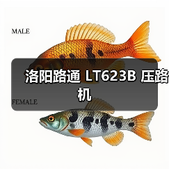 高性能压路机参数解析：高效节能与稳定压实技术